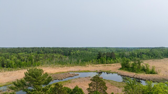 21341 County 50, Park Rapids, MN 56470 - drone / aerial view of a forest and a nearby body of water