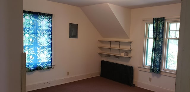 420 Spring St, River Falls, WI 54022 - additional living space with radiator heating unit, electric panel, carpet floors, baseboards, and vaulted ceiling