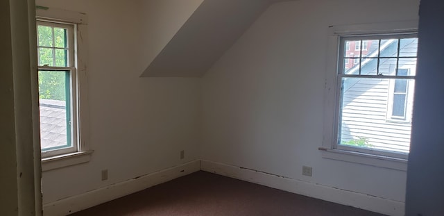 420 Spring St, River Falls, WI 54022 - additional living space featuring lofted ceiling and dark carpet