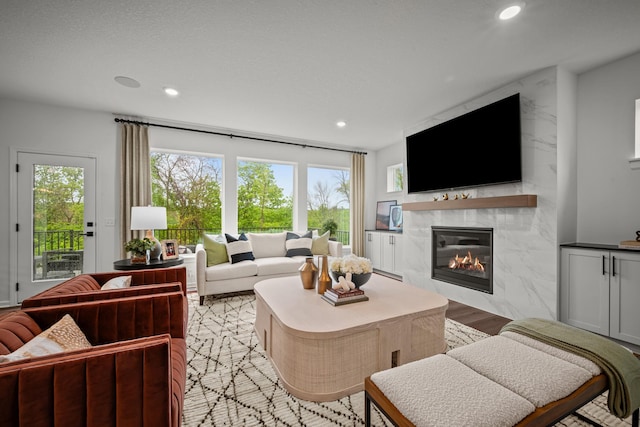 14810 106th Ave N, Maple Grove, MN 55369 - living area featuring a fireplace, healthy amount of natural light, recessed lighting, and light wood-type flooring