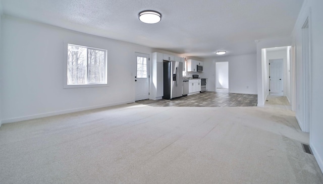 32736 203rd Ave, Clarissa, MN 56440 - unfurnished living room featuring light colored carpet and a textured ceiling