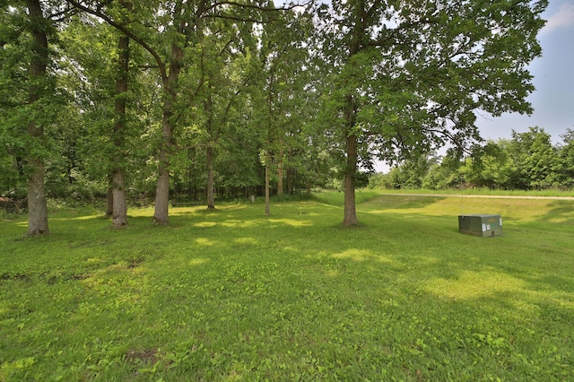 32736 203rd Ave, Clarissa, MN 56440 - view of grassy yard