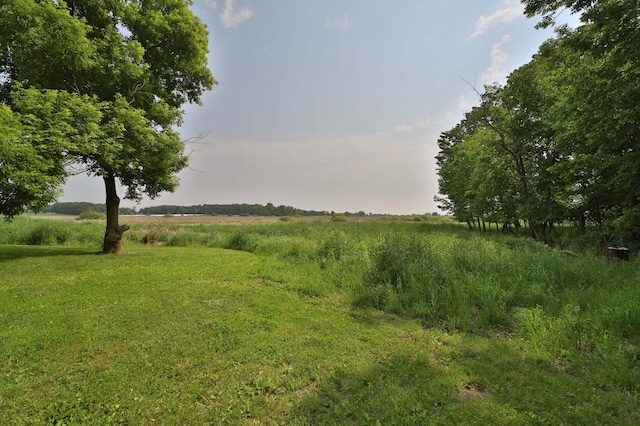 32736 203rd Ave, Clarissa, MN 56440 - view of local wilderness