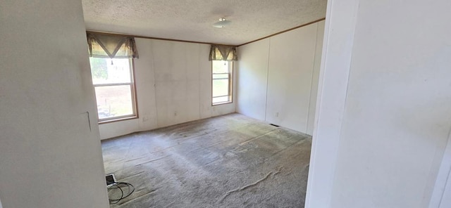 68005 County Road 3, Bandon Twp, MN 55332 - empty room with a textured ceiling and carpet