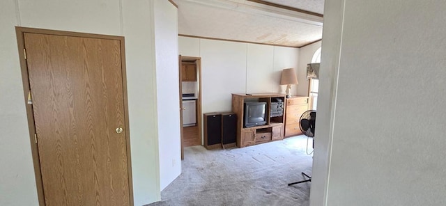 68005 County Road 3, Bandon Twp, MN 55332 - hall featuring carpet flooring