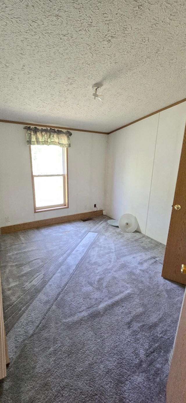68005 County Road 3, Bandon Twp, MN 55332 - unfurnished room featuring carpet, a textured ceiling, and crown molding