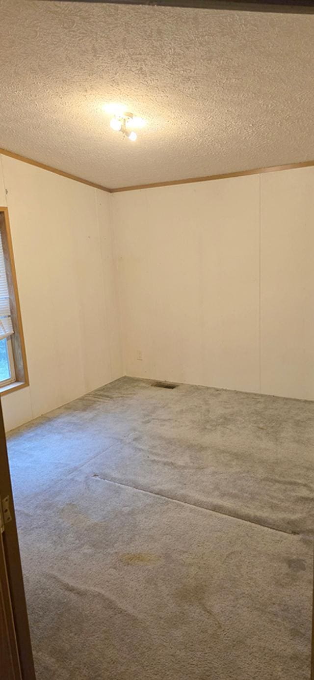 68005 County Road 3, Bandon Twp, MN 55332 - empty room featuring a textured ceiling and carpet flooring