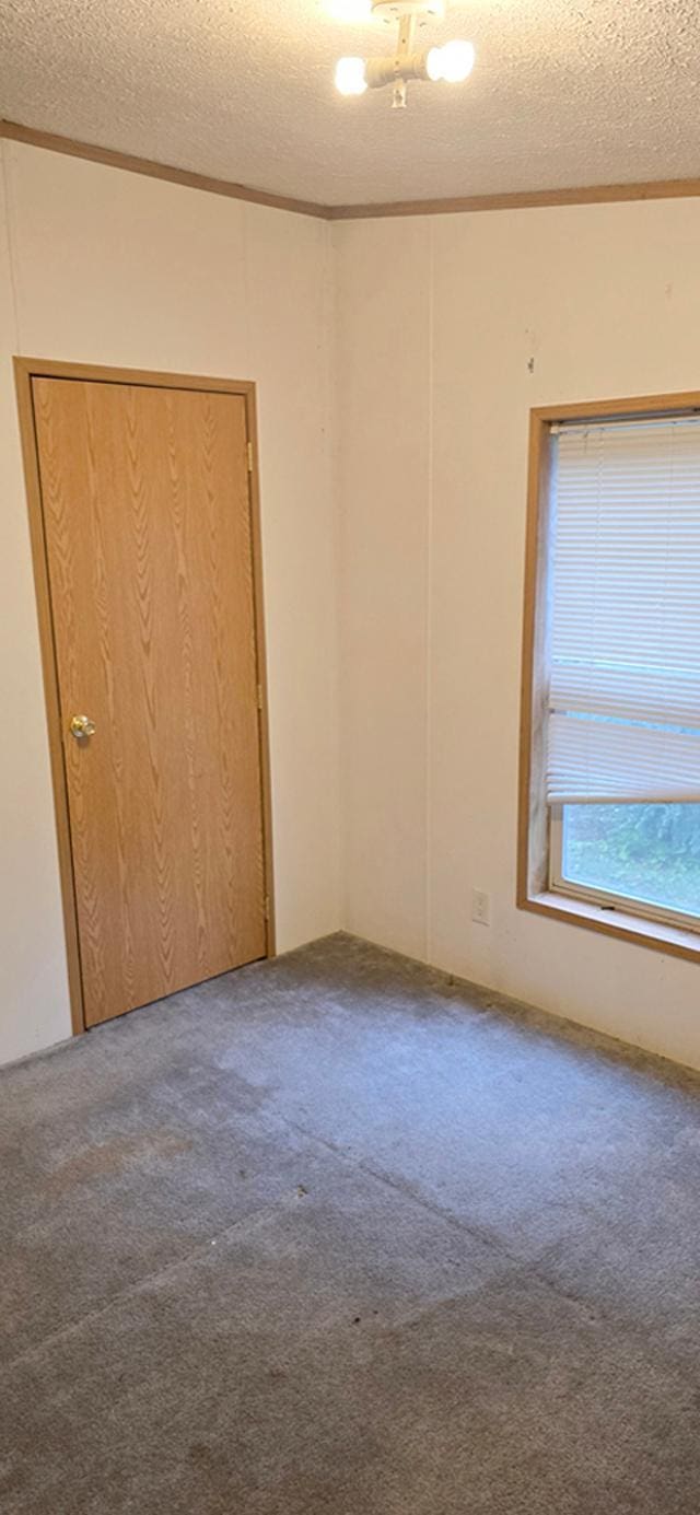 68005 County Road 3, Bandon Twp, MN 55332 - spare room with a textured ceiling, carpet floors, and crown molding