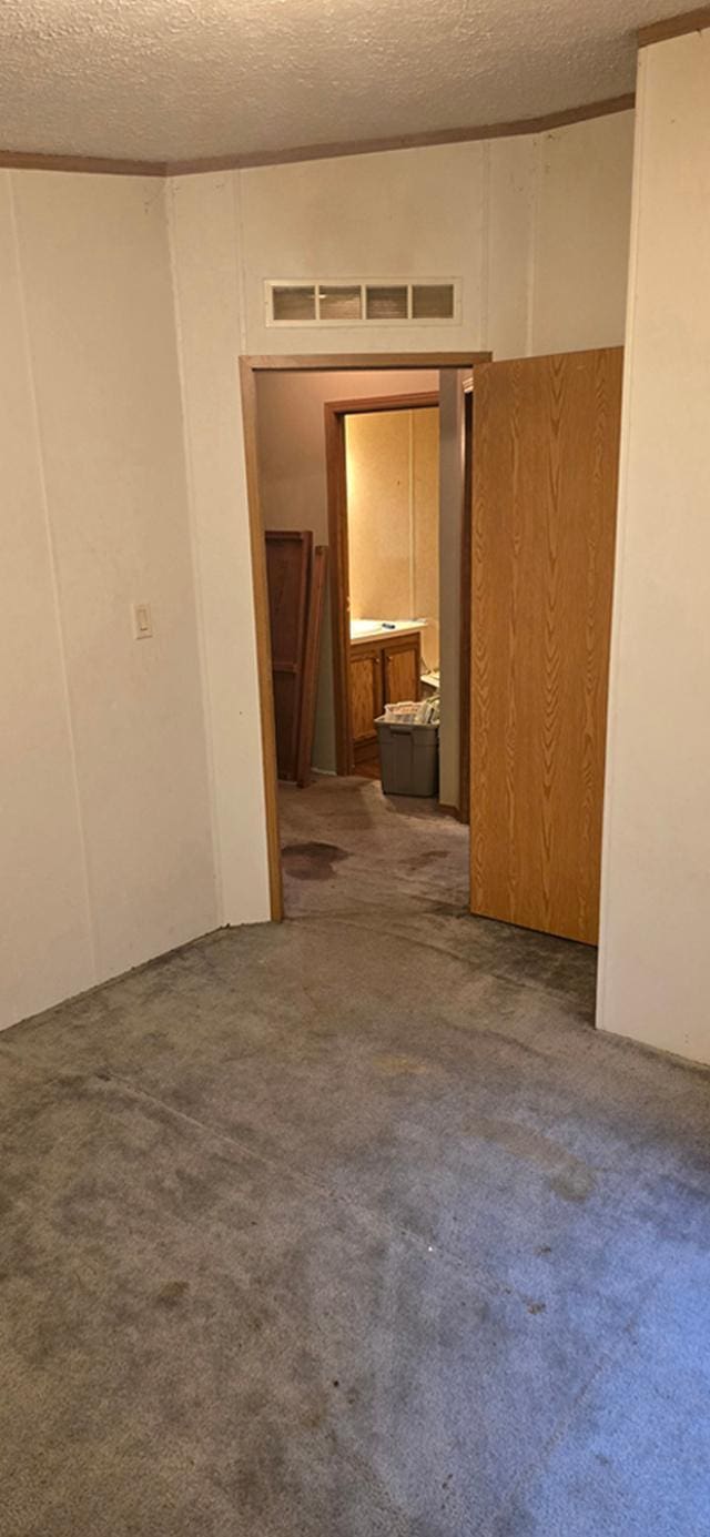 68005 County Road 3, Bandon Twp, MN 55332 - unfurnished room with a textured ceiling and carpet floors
