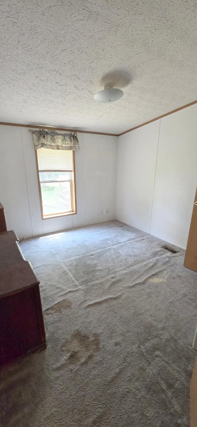 68005 County Road 3, Bandon Twp, MN 55332 - spare room featuring a textured ceiling, carpet, and crown molding