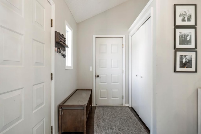 4417 Braddock Trl, Eagan, MN 55123 - hall with vaulted ceiling and baseboards