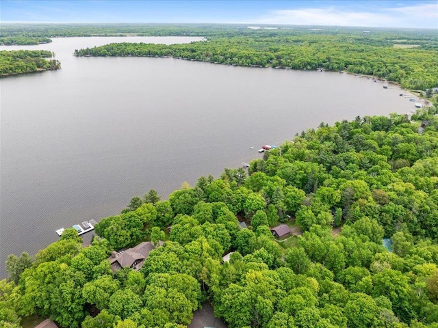 15622 Sand Beach Park, Bay Lake Twp, MN 56444 - bird's eye view of a forest and a nearby body of water