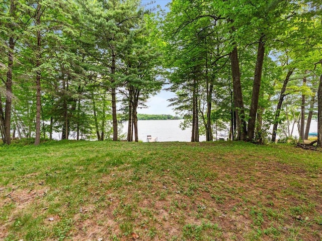 15622 Sand Beach Park, Bay Lake Twp, MN 56444 - view of yard with a water view
