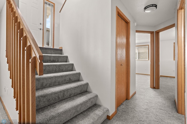2831 Wheatland Dr S, Fargo, ND 58103 - stairway with carpet floors and baseboards