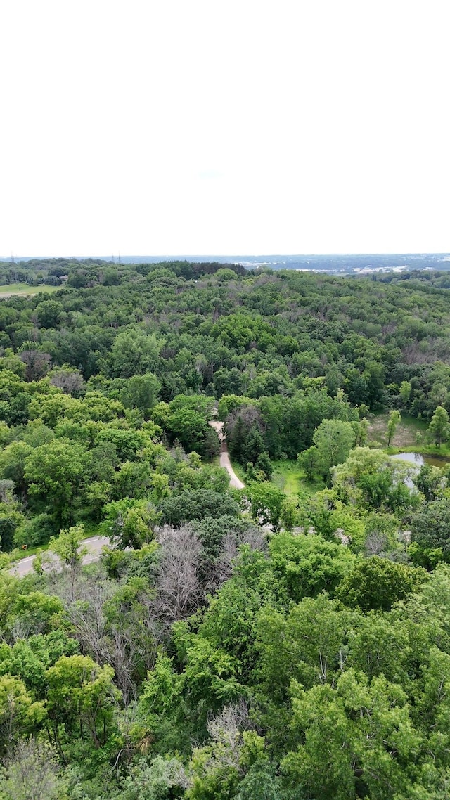 2685 Carver Ave E, Maplewood, MN 55119 - photo 3