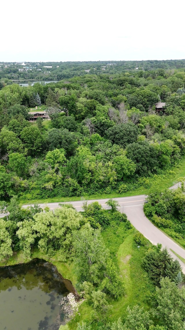 2685 Carver Ave E, Maplewood, MN 55119 - photo 8