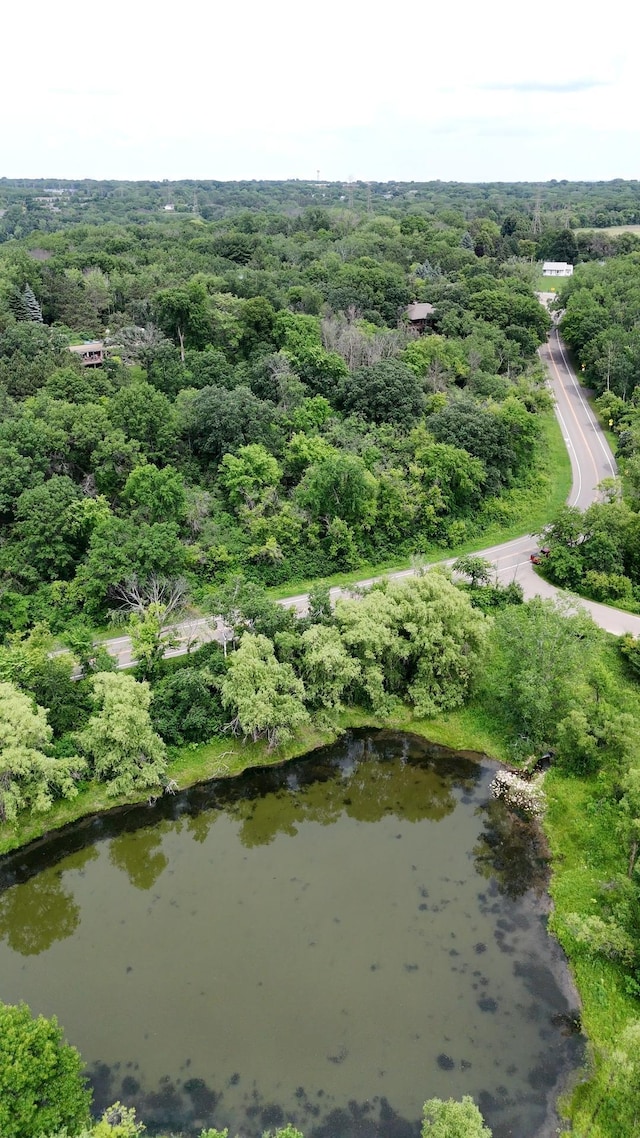 2685 Carver Ave E, Maplewood, MN 55119 - photo 9