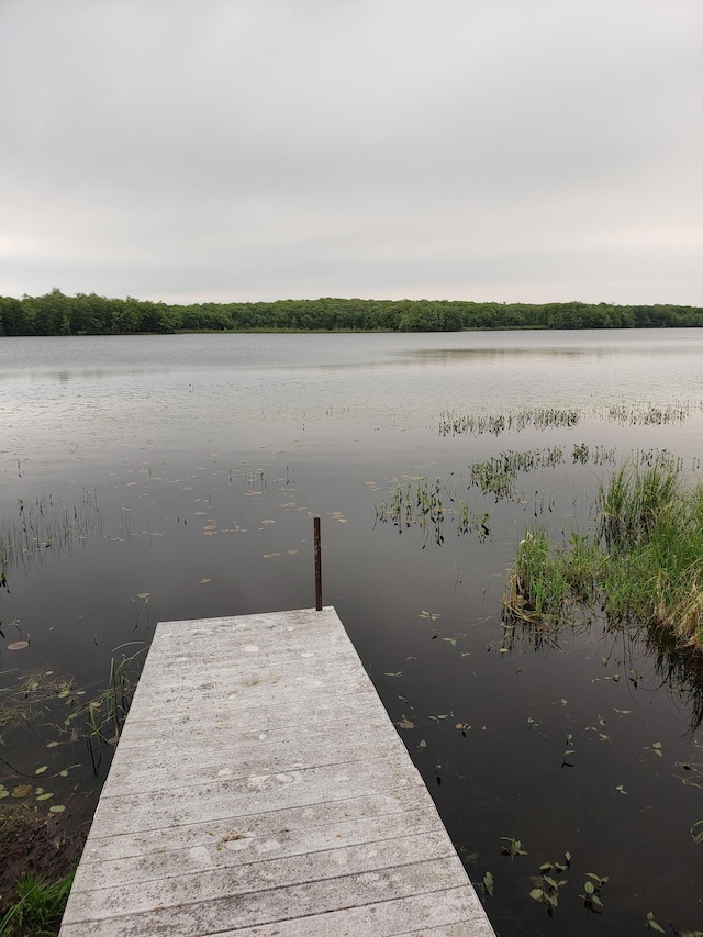 2982 12 1/16 St, Bear Lake Twp, WI 54813