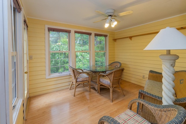 4906 Bayswater Rd, Minnetonka, MN 55345 - sunroom / solarium featuring plenty of natural light