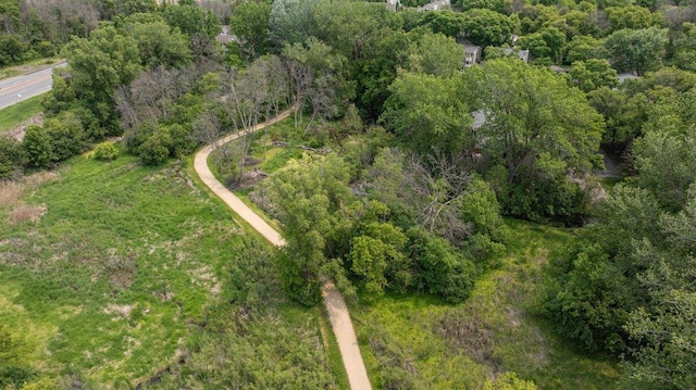 4906 Bayswater Rd, Minnetonka, MN 55345 - view of property location with a heavily wooded area