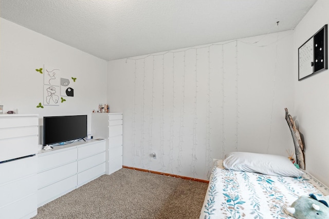 20195 Harrow Ave Way N, Forest Lake, MN 55025 - view of carpeted bedroom
