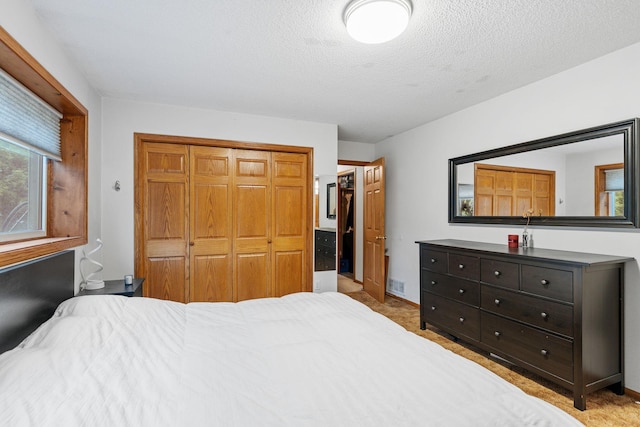 20195 Harrow Ave Way N, Forest Lake, MN 55025 - bedroom featuring carpet, a closet, and a textured ceiling