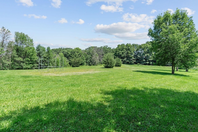 20195 Harrow Ave Way N, Forest Lake, MN 55025 - view of grassy yard featuring a view of countryside and a forest view