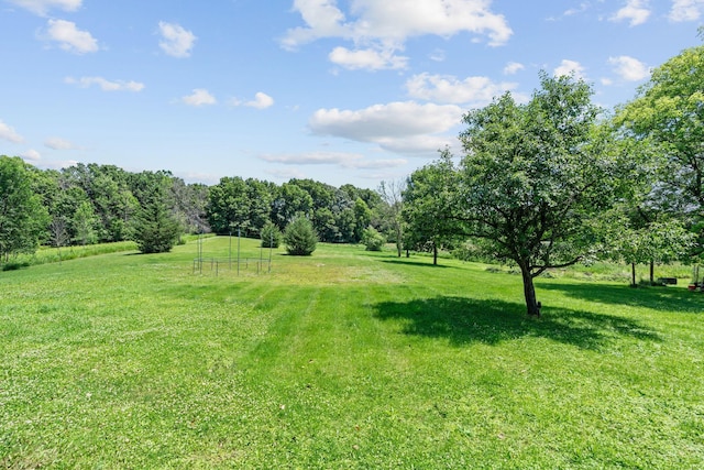 20195 Harrow Ave Way N, Forest Lake, MN 55025 - view of grassy yard