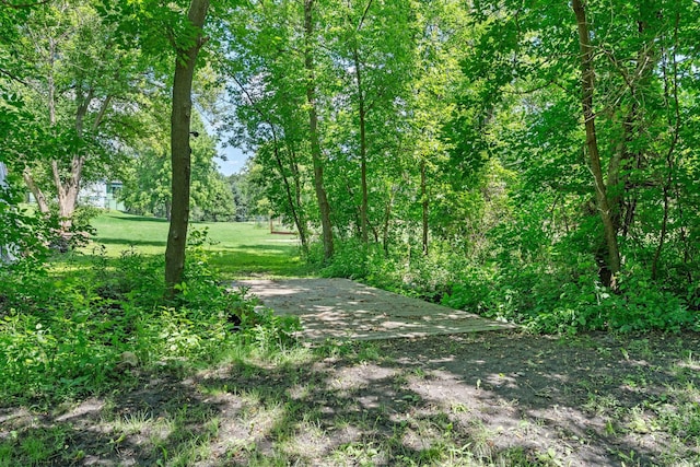 20195 Harrow Ave Way N, Forest Lake, MN 55025 - view of road with a view of trees