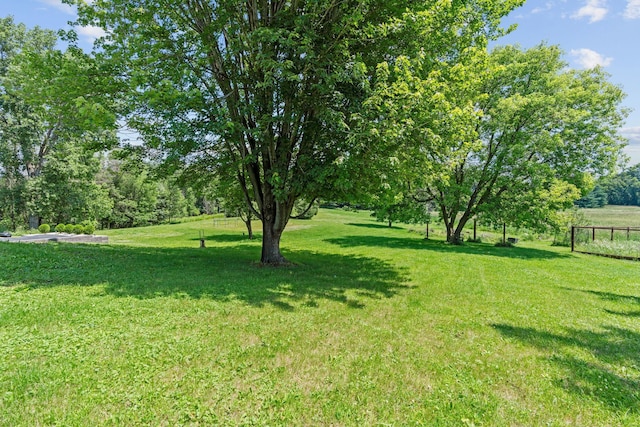 20195 Harrow Ave Way N, Forest Lake, MN 55025 - view of grassy yard