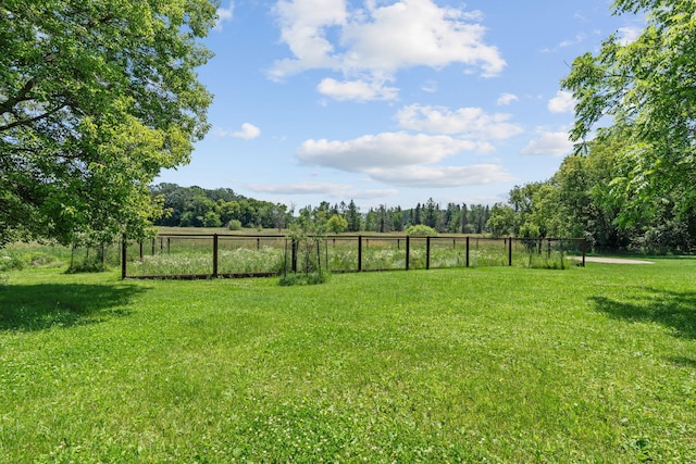 20195 Harrow Ave Way N, Forest Lake, MN 55025 - view of yard
