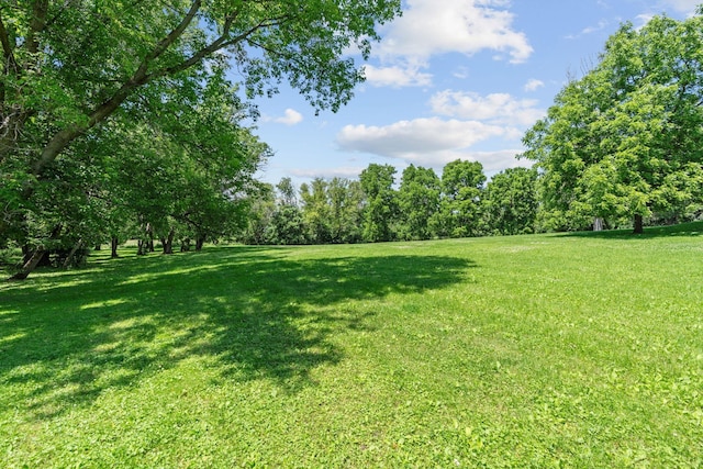 20195 Harrow Ave Way N, Forest Lake, MN 55025 - view of grassy yard