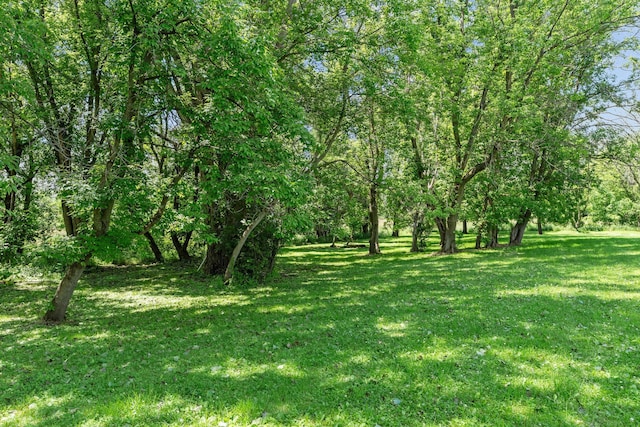 20195 Harrow Ave Way N, Forest Lake, MN 55025 - view of green lawn