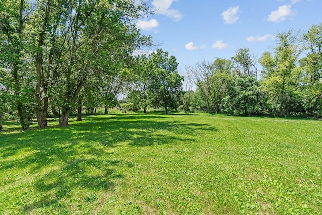 20195 Harrow Ave Way N, Forest Lake, MN 55025 - view of grassy yard