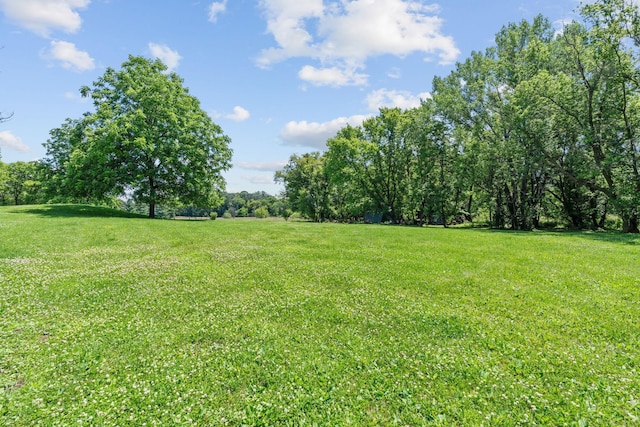 20195 Harrow Ave Way N, Forest Lake, MN 55025 - view of grassy yard