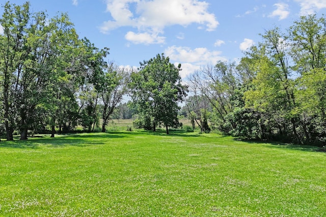 20195 Harrow Ave Way N, Forest Lake, MN 55025 - view of green lawn