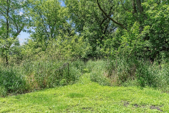 20195 Harrow Ave Way N, Forest Lake, MN 55025 - view of tree filled area