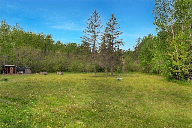 4985 Sam Anderson Rd, Amnicon Twp, WI 54874 - view of green lawn featuring a view of trees and an outbuilding