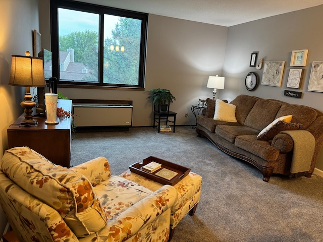 1181 Edgcumbe Rd Unit 213, Saint Paul, MN 55105 - living room featuring carpet flooring, baseboards, and radiator heating unit