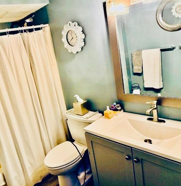 1181 Edgcumbe Rd Unit 213, Saint Paul, MN 55105 - full bath with toilet and vanity