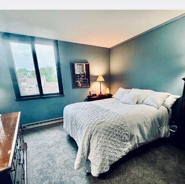 1181 Edgcumbe Rd Unit 213, Saint Paul, MN 55105 - bedroom with a baseboard heating unit and carpet floors