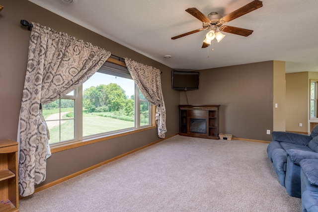 58605 243rd St, Kasota, MN 56050 - photo 4