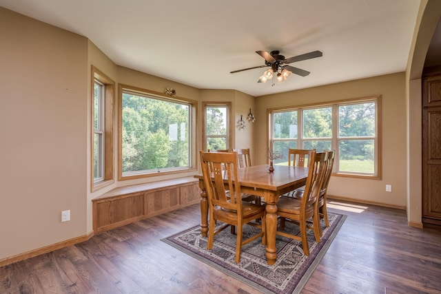 58605 243rd St, Kasota, MN 56050 - photo 6
