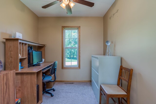 58605 243rd St, Kasota, MN 56050 - photo 8