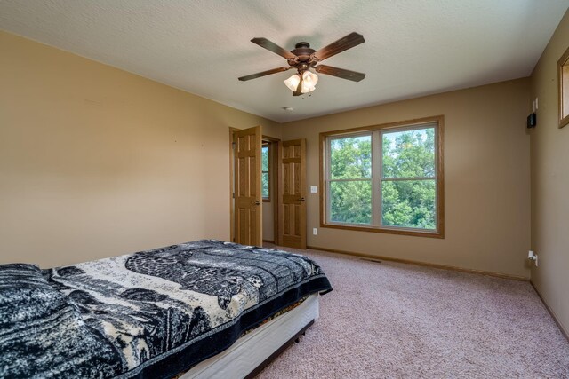 58605 243rd St, Kasota, MN 56050 - photo 18