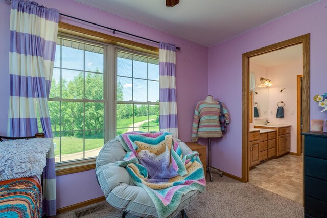 58605 243rd St, Kasota, MN 56050 - photo 23