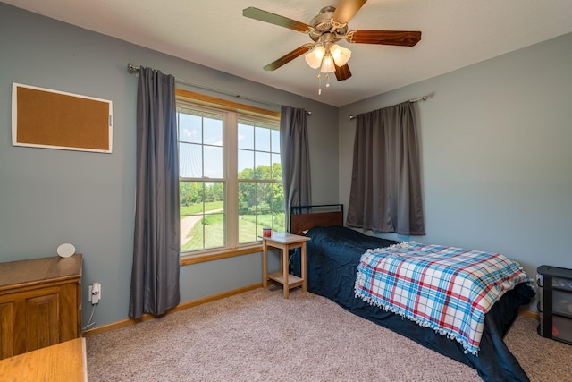 58605 243rd St, Kasota, MN 56050 - photo 27