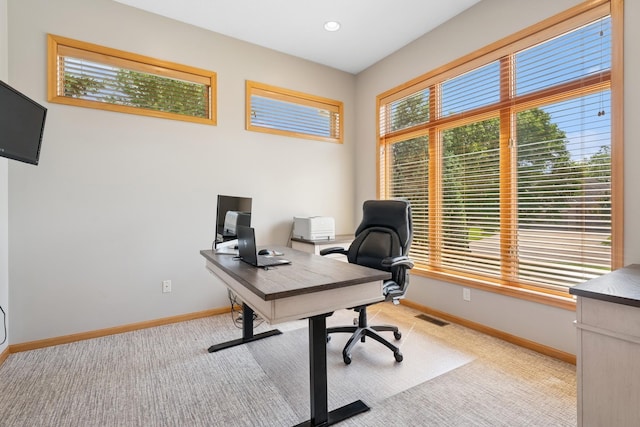 6654 Orchid Ln N, Maple Grove, MN 55311 - home office with light colored carpet and baseboards