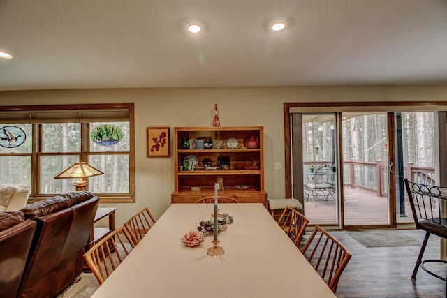 20929 Faron Dr, Nevis, MN 56467 - dining room with wood finished floors, plenty of natural light, and recessed lighting