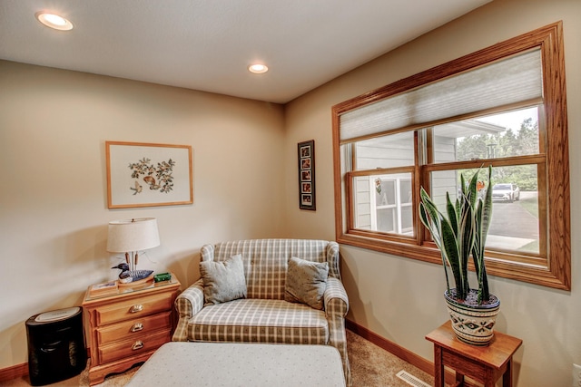 20929 Faron Dr, Nevis, MN 56467 - living area featuring carpet flooring, baseboards, and recessed lighting